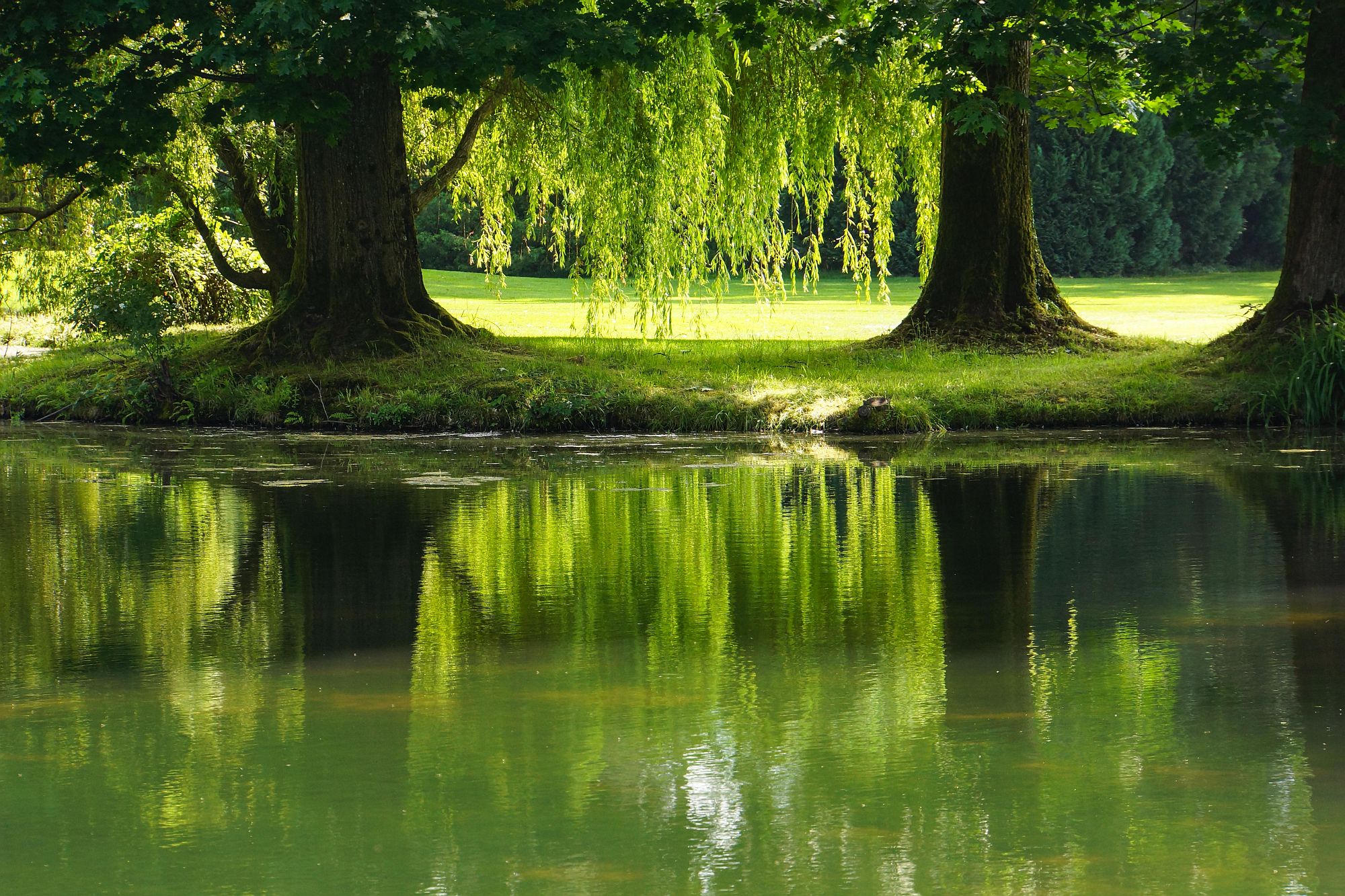 In der Ruhe liegt die Kraft (c) Rainer Sturm / pixelio.de