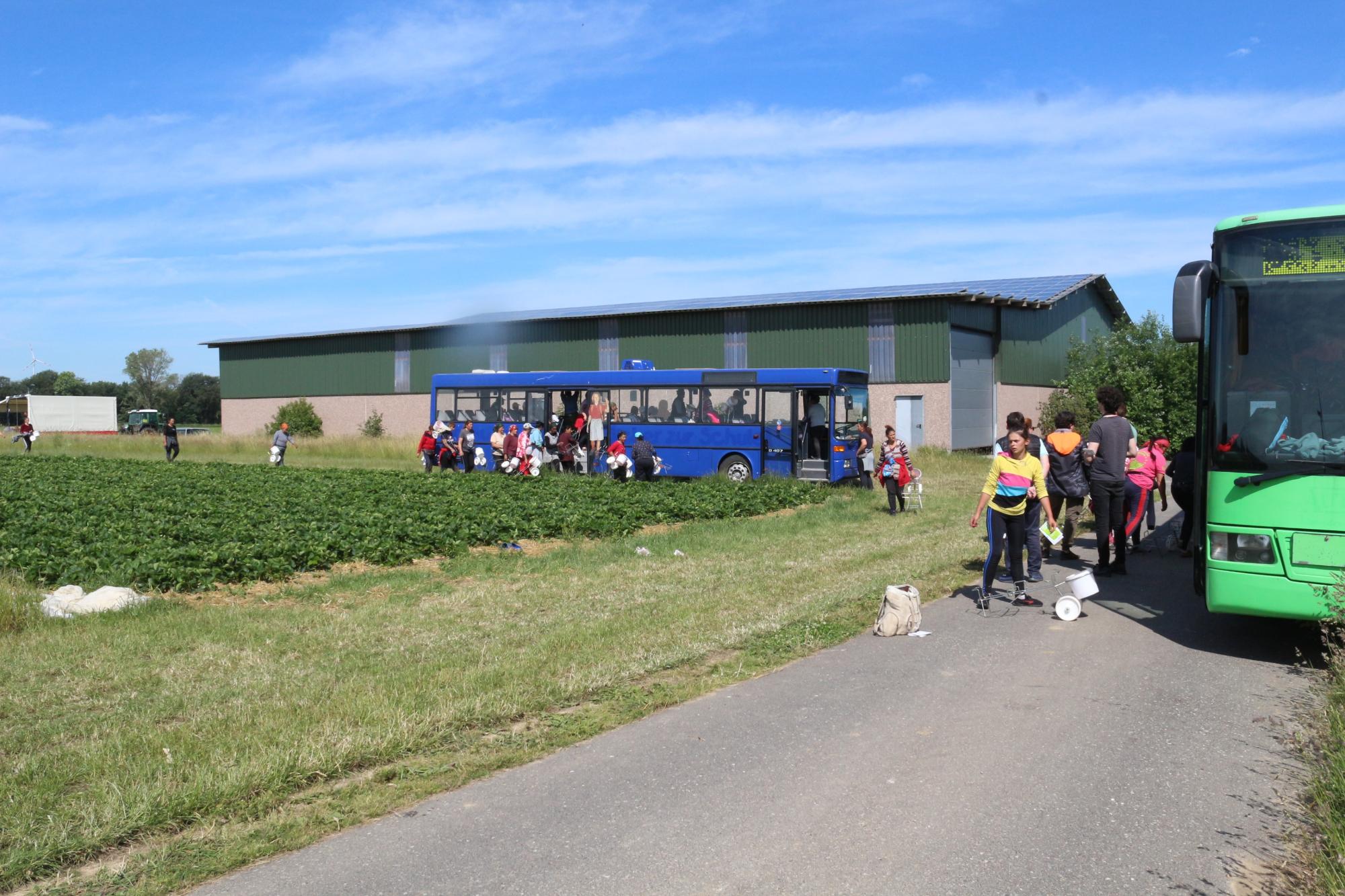 Projekt Transit im Gespräch mit Erntearbeiter:innen im Kreis Heinsberg