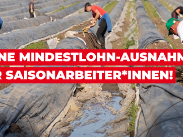 Initiative Faire Landwirtschaft - Petitionsbild (1) (c) IFL