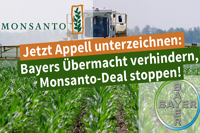 Monsanto - Bayer