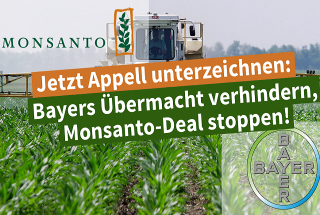 Monsanto - Bayer