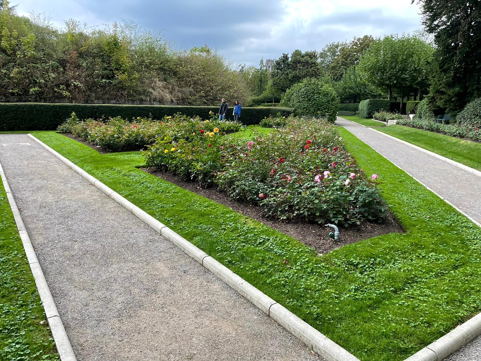 Rosengarten auf Fort X in Köln (c) Christoph Rader