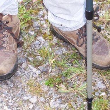 Wir entdecken die Bibel (c) KAB