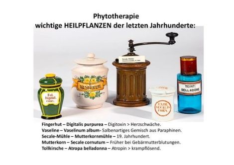 Heilpflanzen (c) Rüdiger Franke, Venwegen