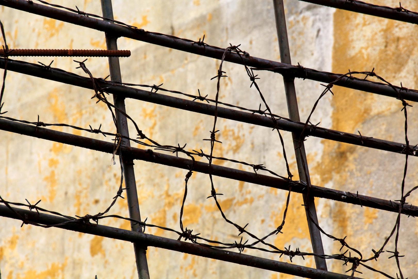Gitter und Stacheldraht (c) Bild: Peter Weidemann In: Pfarrbriefservice.de